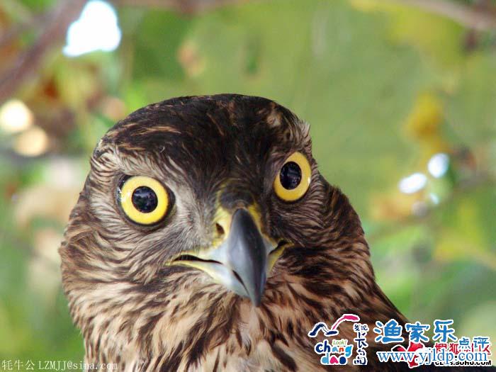 長(zhǎng)島風(fēng)景