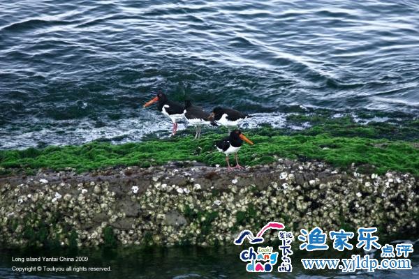 長(zhǎng)島旅游風(fēng)景