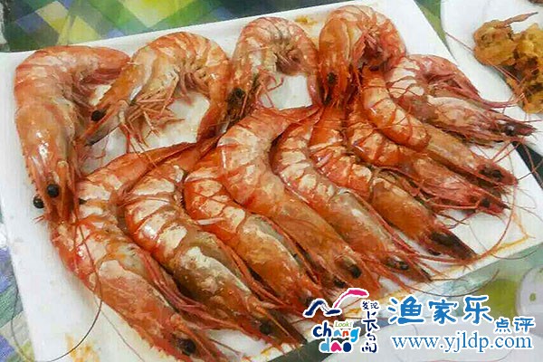 雅樂(lè)軒漁家8