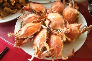 微信圖片_20170428211613