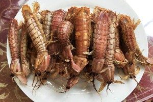 微信圖片_20170428211554