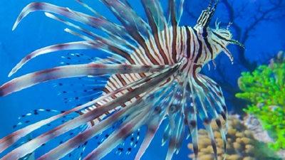 濱州海底世界03 濱州海底世界03