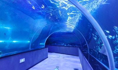 濱州海底世界02 濱州海底世界02