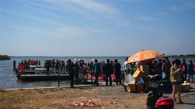 陽(yáng)澄湖農(nóng)家樂(lè)旅游一日游，品蟹、游文化老街，賞文化名鎮(zhèn)