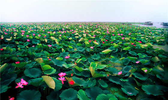 1548121959367317.png 圖片7.png