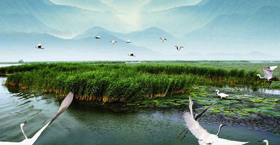 1548121899684046.png 圖片5.png