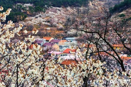 1528682086487903.jpg 圖片29.jpg