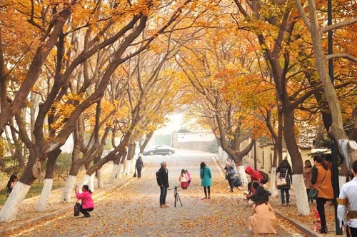 1528681902986175.jpg 圖片19.jpg