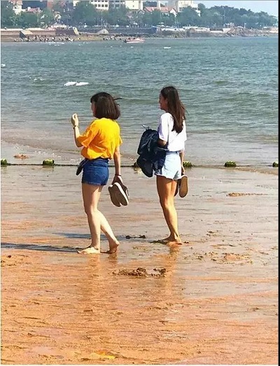 1528681887362626.jpg 圖片18.jpg