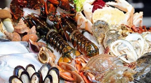 1528681824501300.jpg 圖片15.jpg