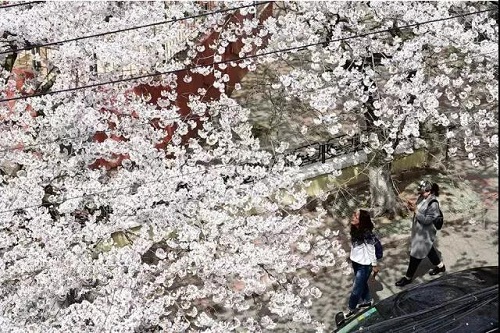 1528681873906650.jpg 圖片17.jpg