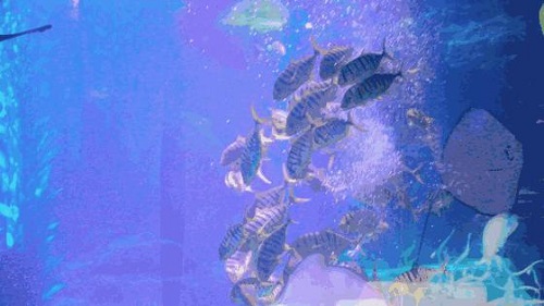 1528682005573588.jpg 圖片25.jpg