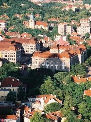 1530524135967205.jpg 1.jpg