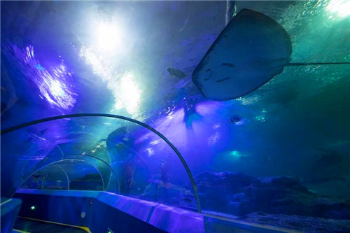 1530524392451438.jpg 9_副本.jpg