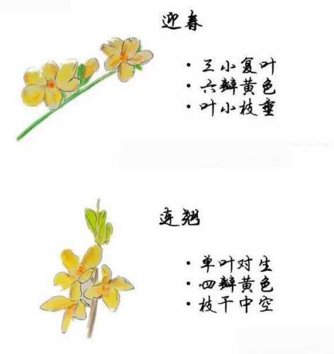 TIM截圖20180327144549