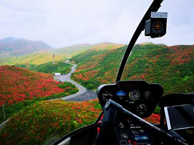 大圍山杜鵑花節(jié)05_副本 大圍山杜鵑花節(jié)05_副本