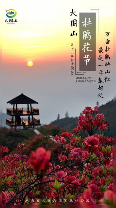 大圍山杜鵑花節(jié)02_副本_副本 大圍山杜鵑花節(jié)02_副本_副本