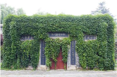 千唐志齋01_副本 千唐志齋01_副本