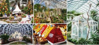 黃果樹奇遇嶺02