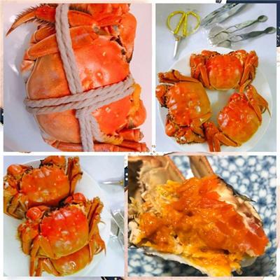 蘇州園林04 蘇州園林04