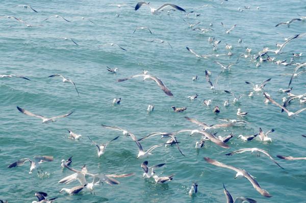 旅游攻略圖片20