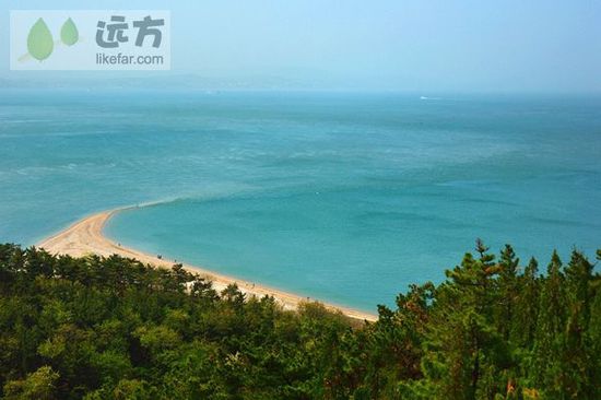 與萬只海鷗成為朋友 山東煙臺長島自助游