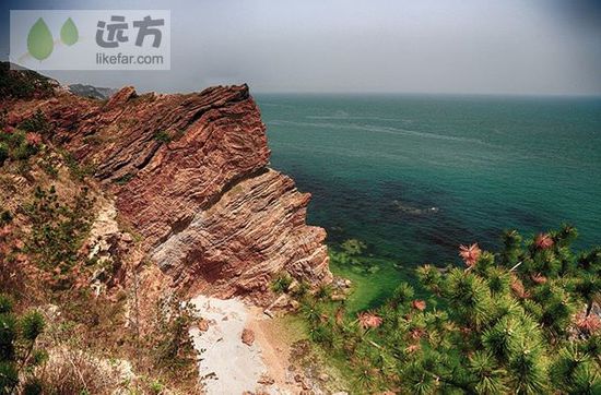 與萬只海鷗成為朋友 山東煙臺長島自助游