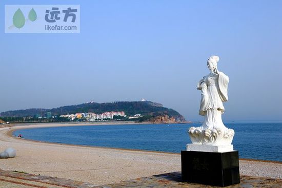 與萬只海鷗成為朋友 山東煙臺長島自助游