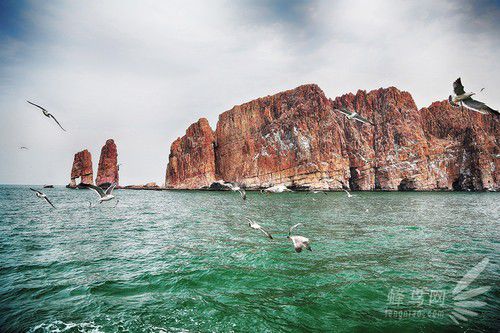 出海喂鳥吃海鮮 山東長島讓你玩到爽