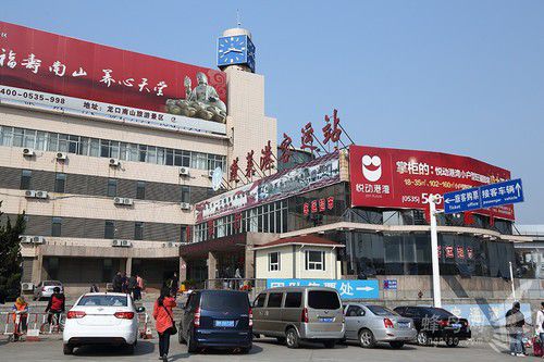 出海喂鳥吃海鮮 山東長島讓你玩到爽