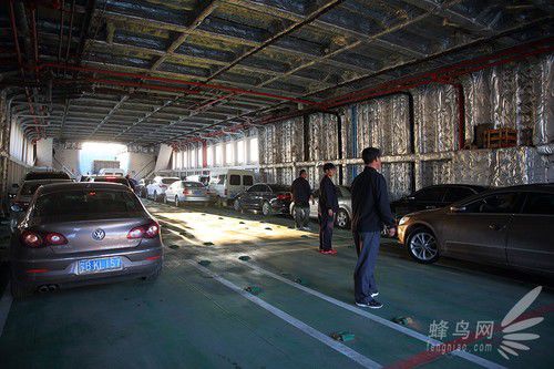 出海喂鳥吃海鮮 山東長島讓你玩到爽