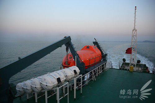 出海喂鳥吃海鮮 山東長島讓你玩到爽