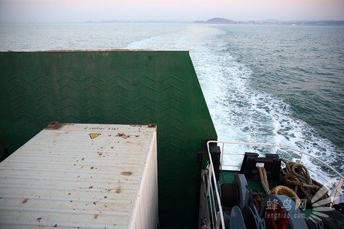出海喂鳥吃海鮮 山東長島讓你玩到爽