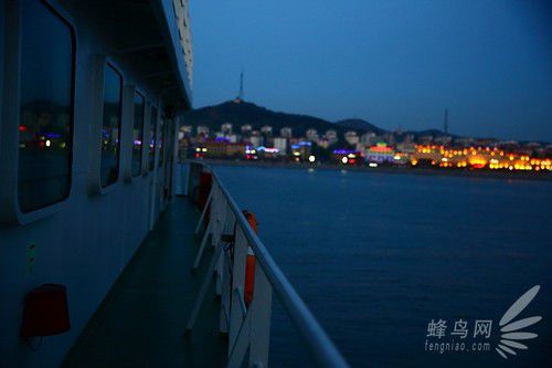 出海喂鳥吃海鮮 山東長島讓你玩到爽