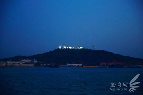 出海喂鳥吃海鮮 山東長島讓你玩到爽