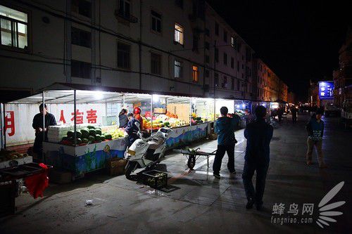 出海喂鳥吃海鮮 山東長(zhǎng)島讓你玩到爽