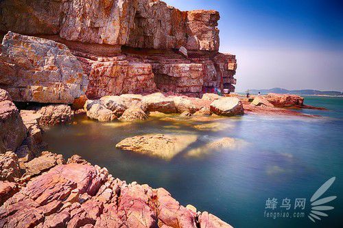 出海喂鳥吃海鮮 山東長(zhǎng)島讓你玩到爽 出海喂鳥吃海鮮 山東長(zhǎng)島讓你玩到爽