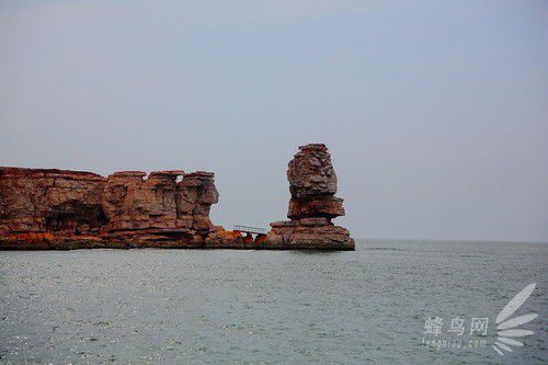 出海喂鳥吃海鮮 山東長島讓你玩到爽