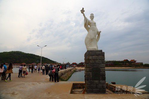 出海喂鳥吃海鮮 山東長島讓你玩到爽