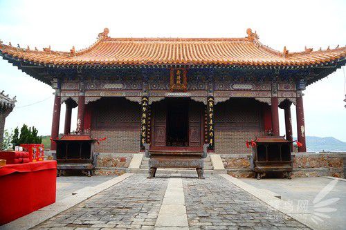 出海喂鳥吃海鮮 山東長島讓你玩到爽