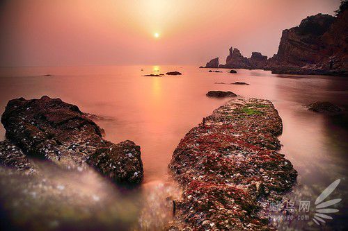出海喂鳥吃海鮮 山東長(zhǎng)島讓你玩到爽 出海喂鳥吃海鮮 山東長(zhǎng)島讓你玩到爽