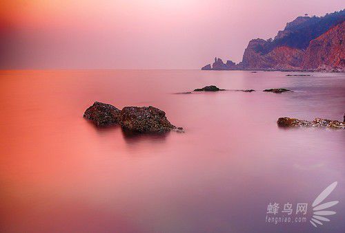 出海喂鳥吃海鮮 山東長(zhǎng)島讓你玩到爽 出海喂鳥吃海鮮 山東長(zhǎng)島讓你玩到爽