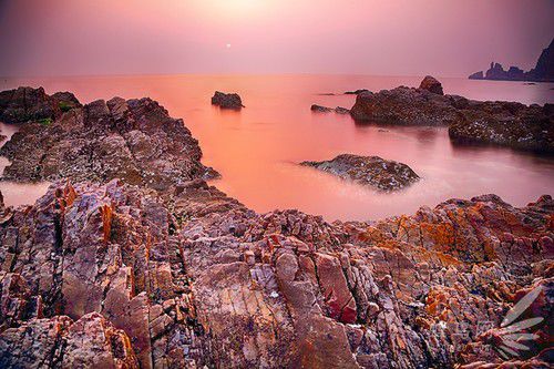 出海喂鳥吃海鮮 山東長(zhǎng)島讓你玩到爽 出海喂鳥吃海鮮 山東長(zhǎng)島讓你玩到爽