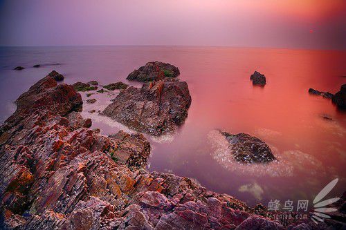 出海喂鳥吃海鮮 山東長(zhǎng)島讓你玩到爽 出海喂鳥吃海鮮 山東長(zhǎng)島讓你玩到爽