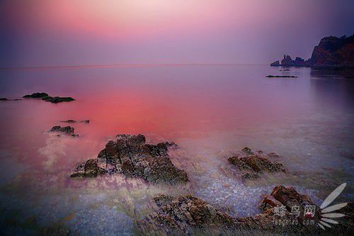 出海喂鳥吃海鮮 山東長(zhǎng)島讓你玩到爽 出海喂鳥吃海鮮 山東長(zhǎng)島讓你玩到爽