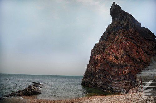 出海喂鳥吃海鮮 山東長島讓你玩到爽
