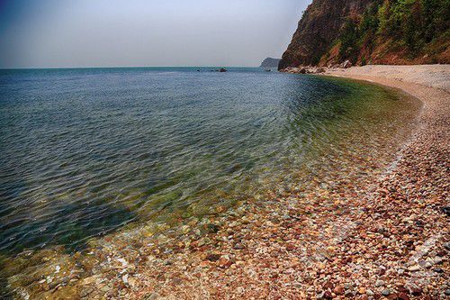 出海喂鳥吃海鮮 山東長島讓你玩到爽