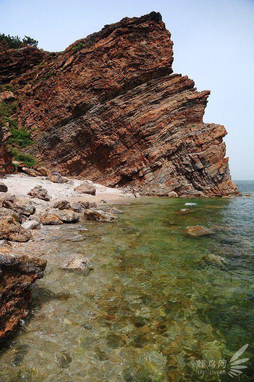 出海喂鳥吃海鮮 山東長島讓你玩到爽