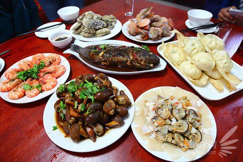 出海喂鳥吃海鮮 山東長島讓你玩到爽 出海喂鳥吃海鮮 山東長島讓你玩到爽