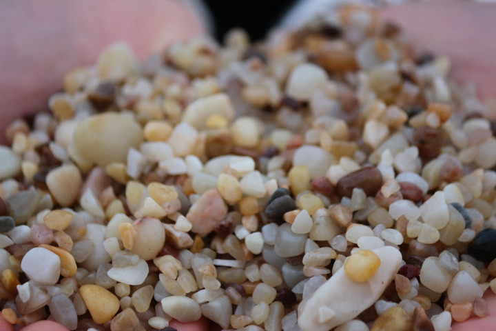 無與倫比的美味：長島國際度假區(qū)的海鮮盛宴